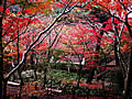 The Arima Zuiho-ji park of late autumn