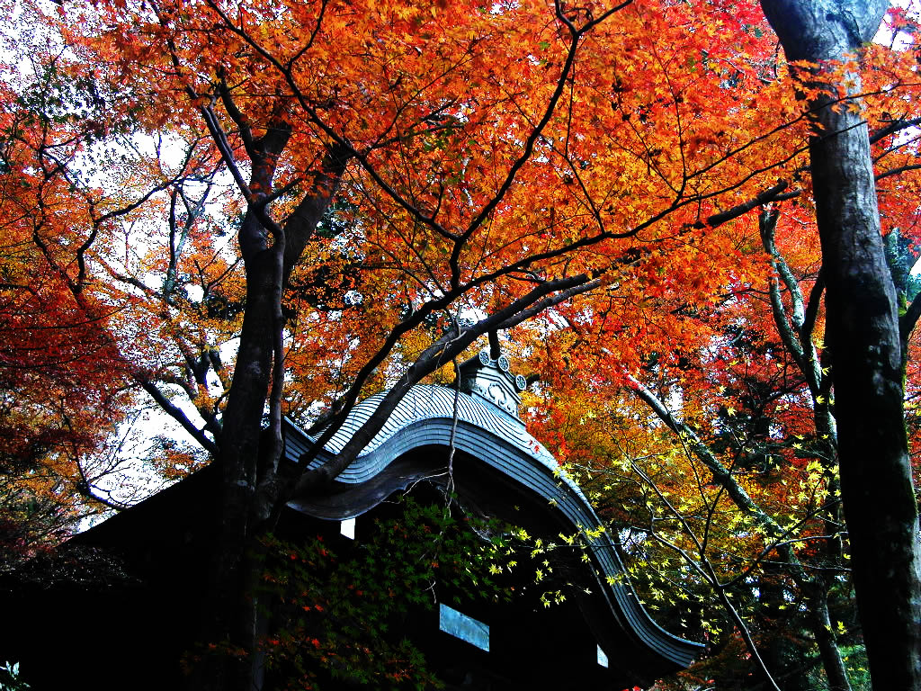 Zuiho-ji park Sanmon